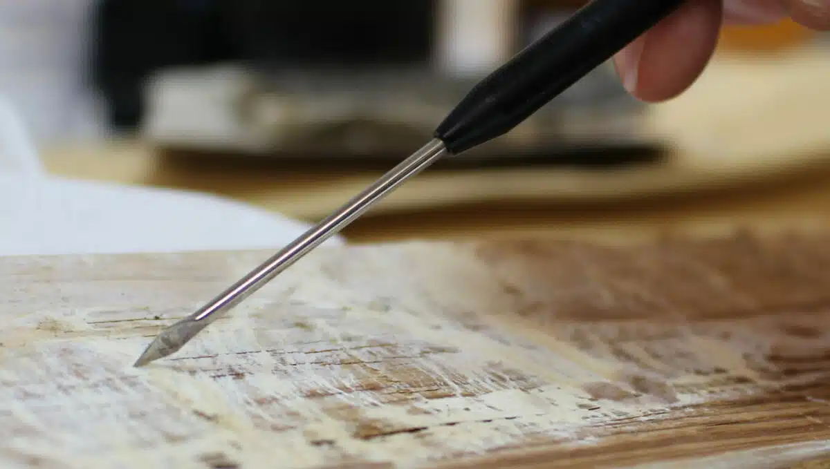 Rötsvamp och mögel