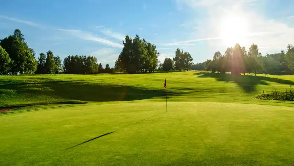 golfbana-svampangrepp golfbana svampangrepp
